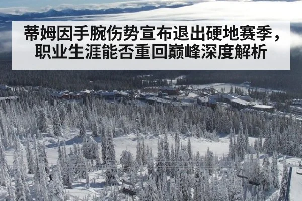 蒂姆因手腕伤势宣布退出硬地赛季，职业生涯能否重回巅峰深度解析